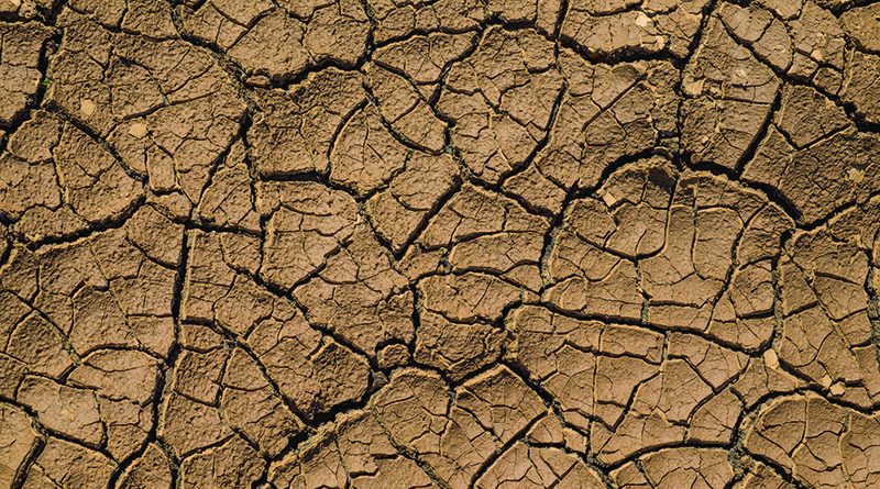 Expansive Clay Soil Maps, and Solutions - Concrete Repairman