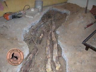 Foundation Damage Contractor Arizona - Concrete Repairman LLC