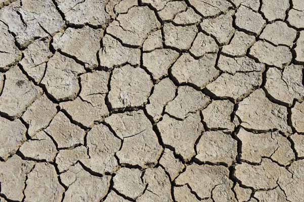 expansive clay soil awareness by Concrete Repairman LLC